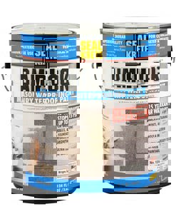 1G SEALKRETE MASONRY WP PAINT